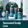 Mielle Seaweed Scalp Cleansing Mask 120g/1,000g