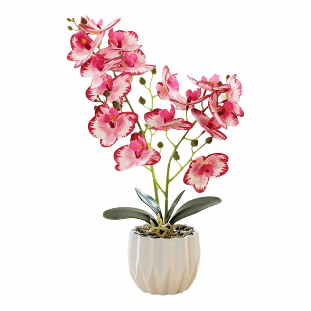 

2 Forks Butterfly Orchid Artificial Bonsai Multicolor Desktop Ornament Desktop Ornament красный