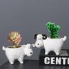 Creative Cartoon Succulent Ceramic Flower Pot Cute Animal Pot Cactus Succulent Plant Pot Desktop Balcony Decoration