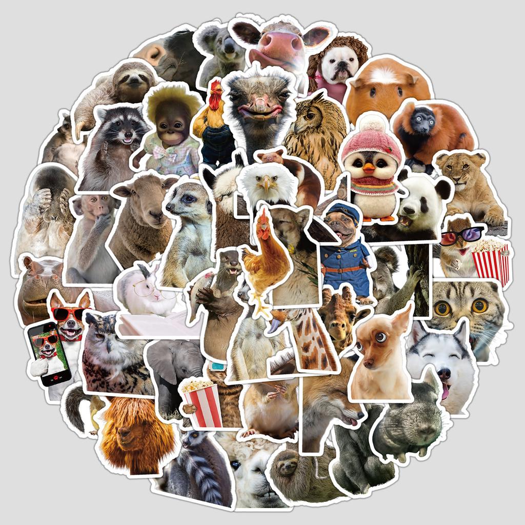 50 Cute Animal Expressions Graffiti Stickers Water Cup Suitcase Waterproof Decorative Stickers Cartoon Animal Stickers