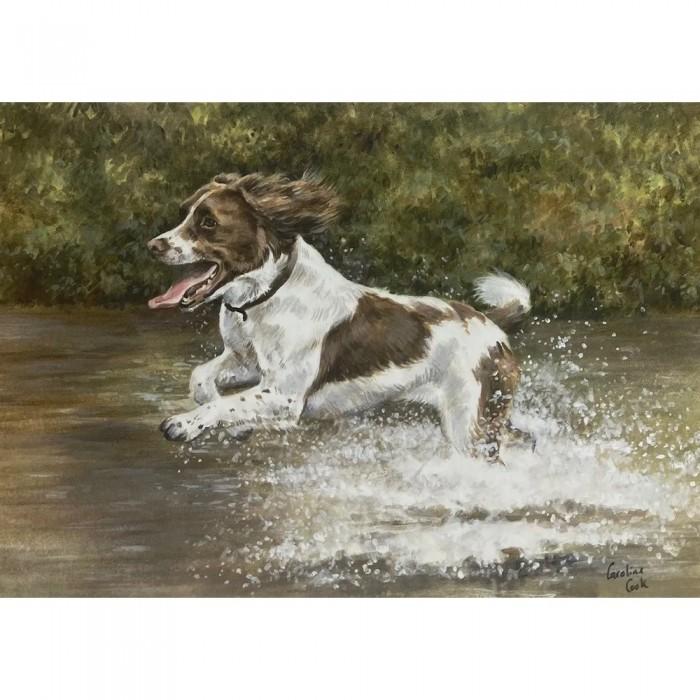 Caroline Cook Making A Splash Greetings Card (Pack of 10)