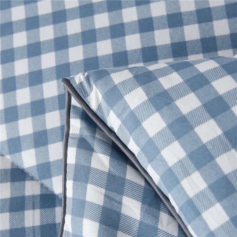 Youth Dream All-Season Quilt Comforter