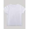 European Sizes Boys' Short Sleeve T-Shirt with Colorful Cow Breeds Print - Casual Summer Top for Youngsters & Teens, Educational Animal Design