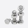 316L Stainless Steel Screw Set