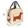 Dachshund Pattern Art Insulated Lunch Bag for Women Office Cooler Thermal Food Box Tote Leakproof Lunch Boxes Container