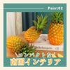 Archnote Food Sample Fruit Pineapple Display Figurine, Realistic, 2 Pieces