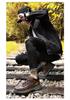 Men's Oversized Casual Leather Shoes - Autumn/Winter, Thick Cotton, Youth Hiking and Outdoor Workwear Shoes