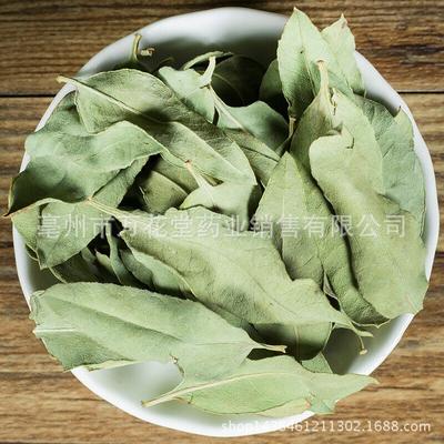 Apocynum Venetum Leaf Čínský bylinný čaj Zdraví čaj