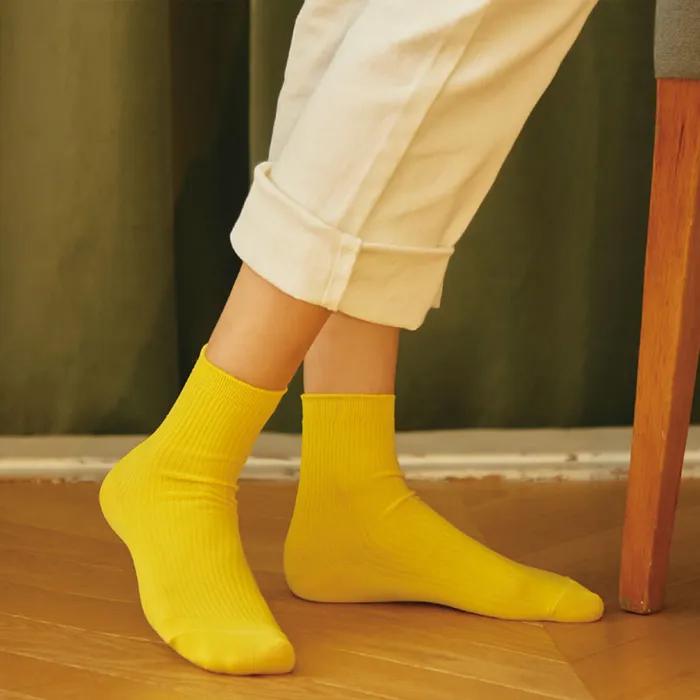 5-Pair Set of 9 Colors Daily Vivid Stretchy Basic Ribbed Socks_Mayonnaise