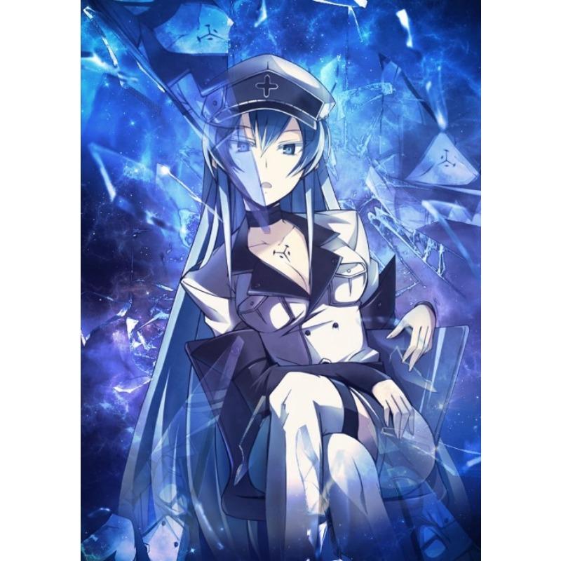 Japanese Anime Akame Ga Kill Akame Poster Anime Character Wall Decor Canvas Print Decoration for Game Room Home Wall Art Picture