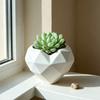 Fun Shaped Flower Pot Geometric Heart Shape Flowerpot, Decorative for Indoor Charming Plant Container Outdoor, Creative Love Planter Home Garden