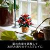 LEGO Botanical Poinsettia Toy - Birthday Gift, Building Blocks, for Men and Women, Artificial Plant, Fake Greenery, Mother, Father (10370)