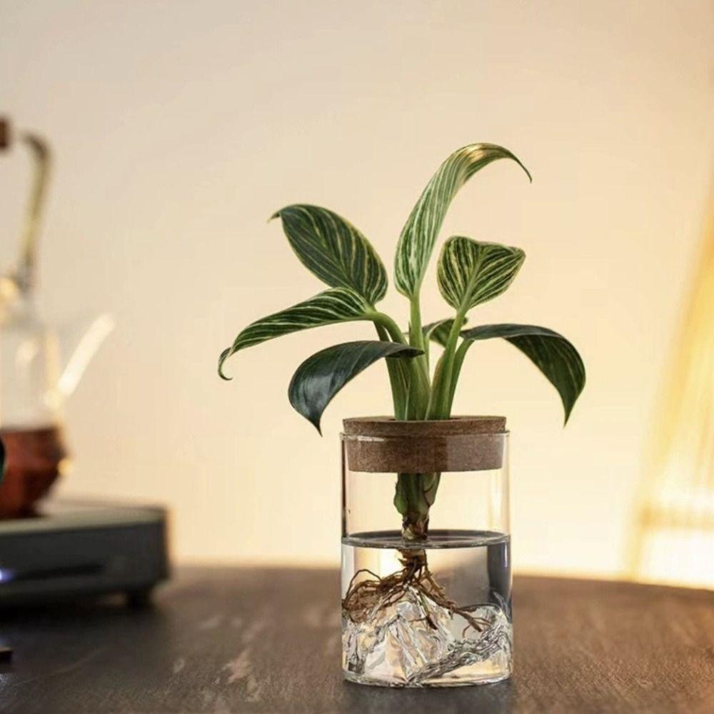 Thickened Flower Vase Glass Flower Pot Micro Landscape Bonsai Mountain Viewing Bottle Home