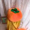 Persimmon Pillow