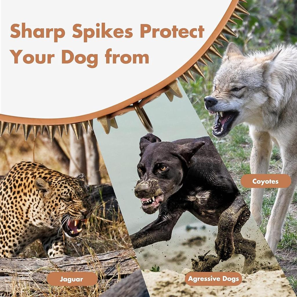 Dog Collar Spiked Studded Pet Necklace with Traction Rope For Small Medium Dogs Bulldog Adjustable Anti-Bite Collar