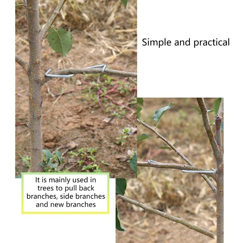 Steel Fruit Tree Shaping and Bending Tools 15 Pack 3 Sizes Branch Positioners Puller For Optimized Sunlight Exposure