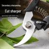 Stainless Steel Pruning Shears for Thick Branches and Fruit Picking