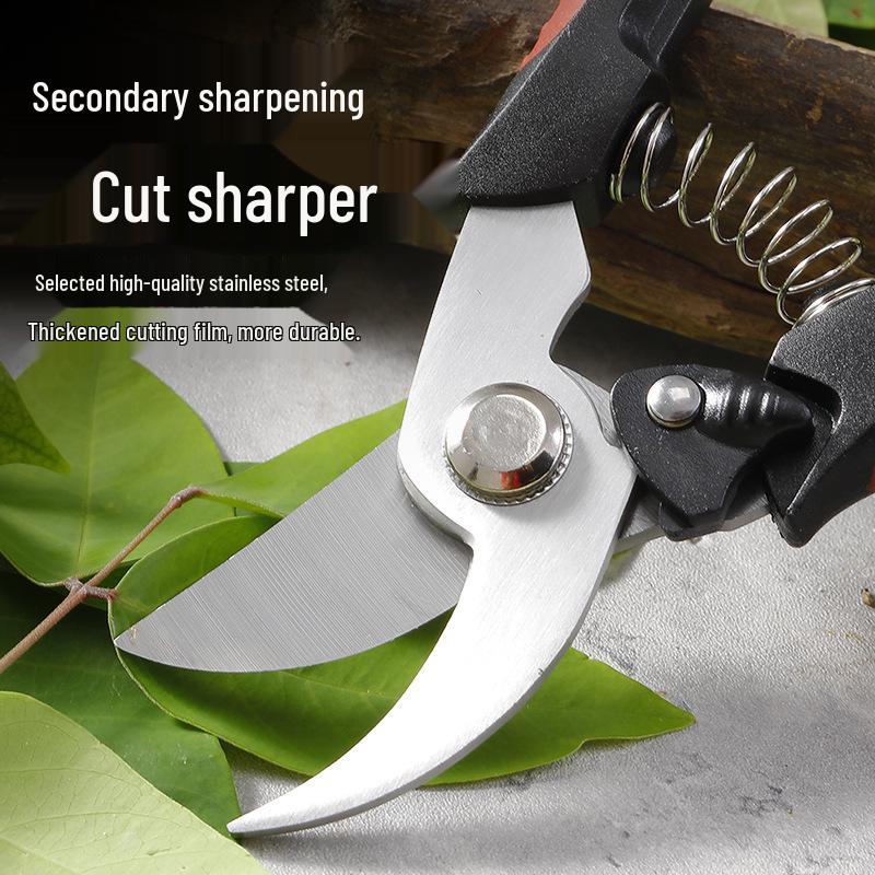 Stainless Steel Pruning Shears for Thick Branches and Fruit Picking