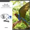 Adjustable Bird Harness Leash Set Premium Material Exquisite Sewing for Parrot Training Pet Bird Safety Gear