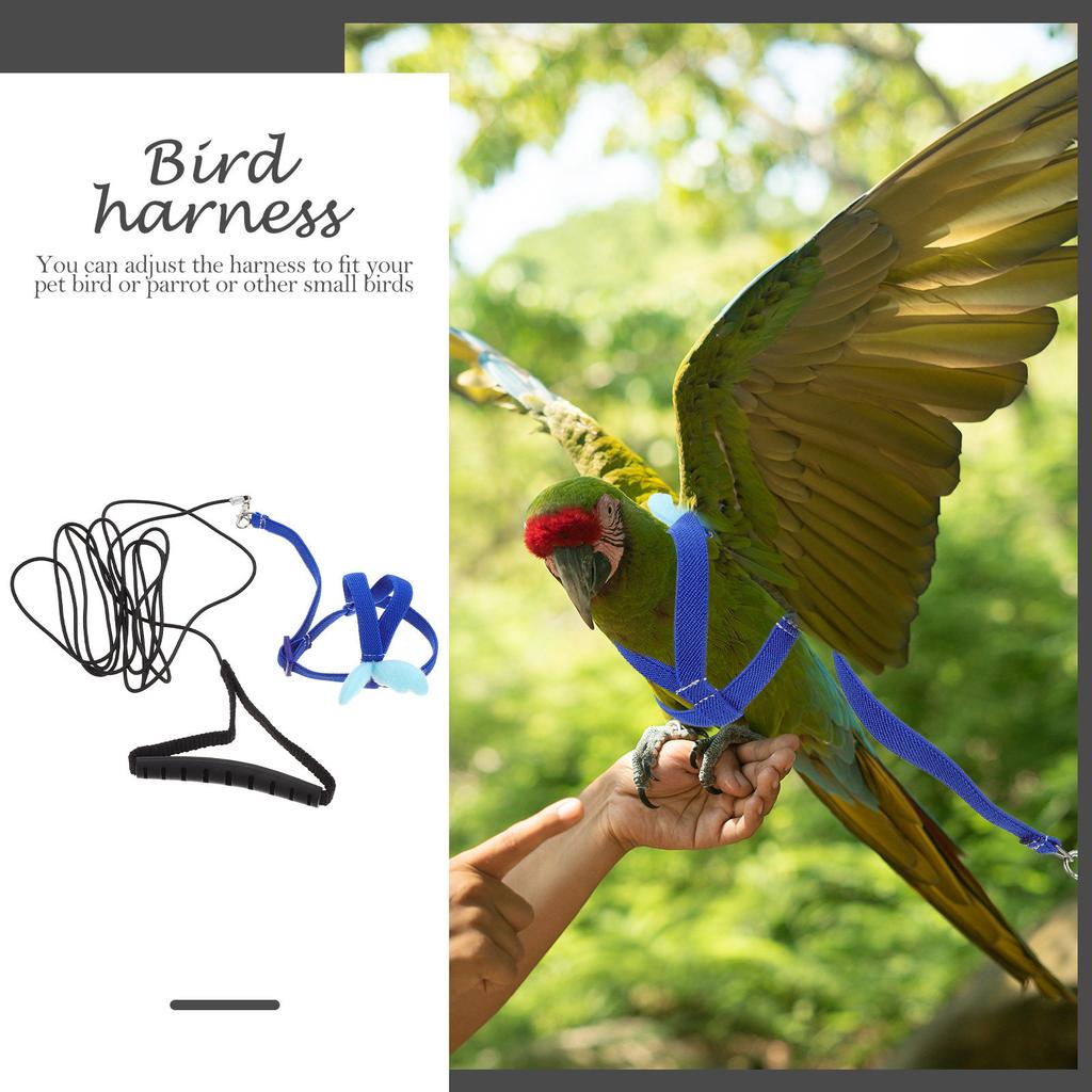 Adjustable Bird Harness Leash Set Premium Material Exquisite Sewing for Parrot Training Pet Bird Safety Gear
