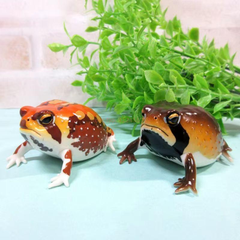 Genuine Ikimon Steamed Bun Frog Japanese Dart Capsule Toy Realistic Toad Figurine Animal Encyclopedia Desktop Collectible Gift