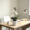 Butterfly Orchid Artificial Potted Plant For Home Decor And Event Arrangements