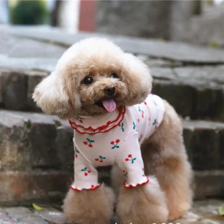 Pure Cotton Cherry Print Wave Side Lapel Top Dog Clothes Pet Clothes Autumn Pet Clothes Sweaters for Pets Dog Christmas Sweater