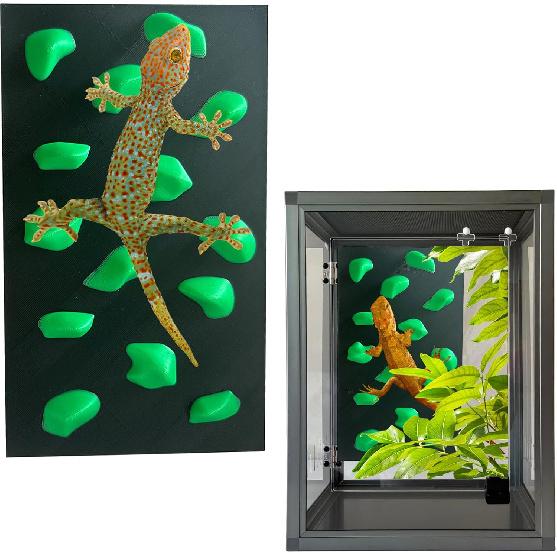 Rock Climbing Wall for Bearded Dragons Climbing Rock Wall Grips for Bearded Dragons Tank Accessories Reptiles Toy (Green) зелёный