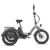 Elektrisches Lastenrad FAFREES F20 Mate 20" 750W Motor E-Bike Faltbar Höchstgeschwindigkeit 30 km/h Doppelte Hydraulikbremse Maximale Reichweite 115 km Zuladung 180 kg