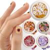 2 Boxes Nail Art Color Mixed Small Daisy Flower Rose Ultra-thin Wood Pulp Patch DIY Nail Art Jewelry Nail Art Decoration