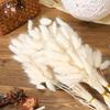 50Pcs Fluffy Bunny Rabbit Tail Grass Dried Flowers Bouquet Wedding Christmas Decor Natural Pampas Boho Home Autumn Decoration