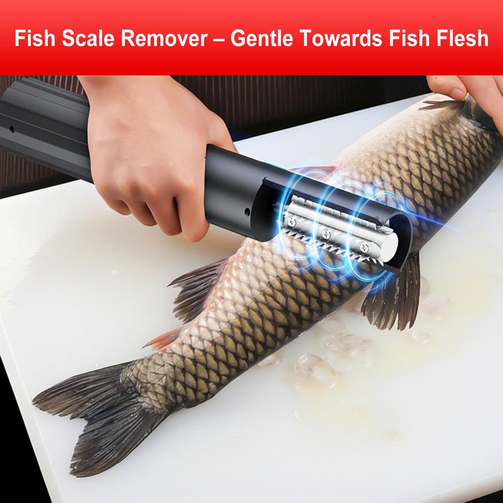 Râpe Électrique Portable Machine Acier Inoxydable Sans Fil Grattoir à Noix de Coco Automatique Manuel à Rouleau pour Cuisine Écaillage Poisson