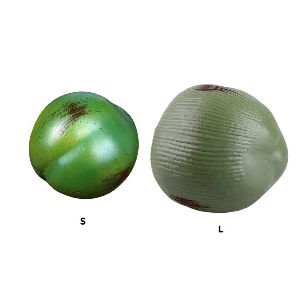 Realistic Artificial Coconut Accent Versatile Synthetic Coconut Model for Photography Props and Exhibition Displays