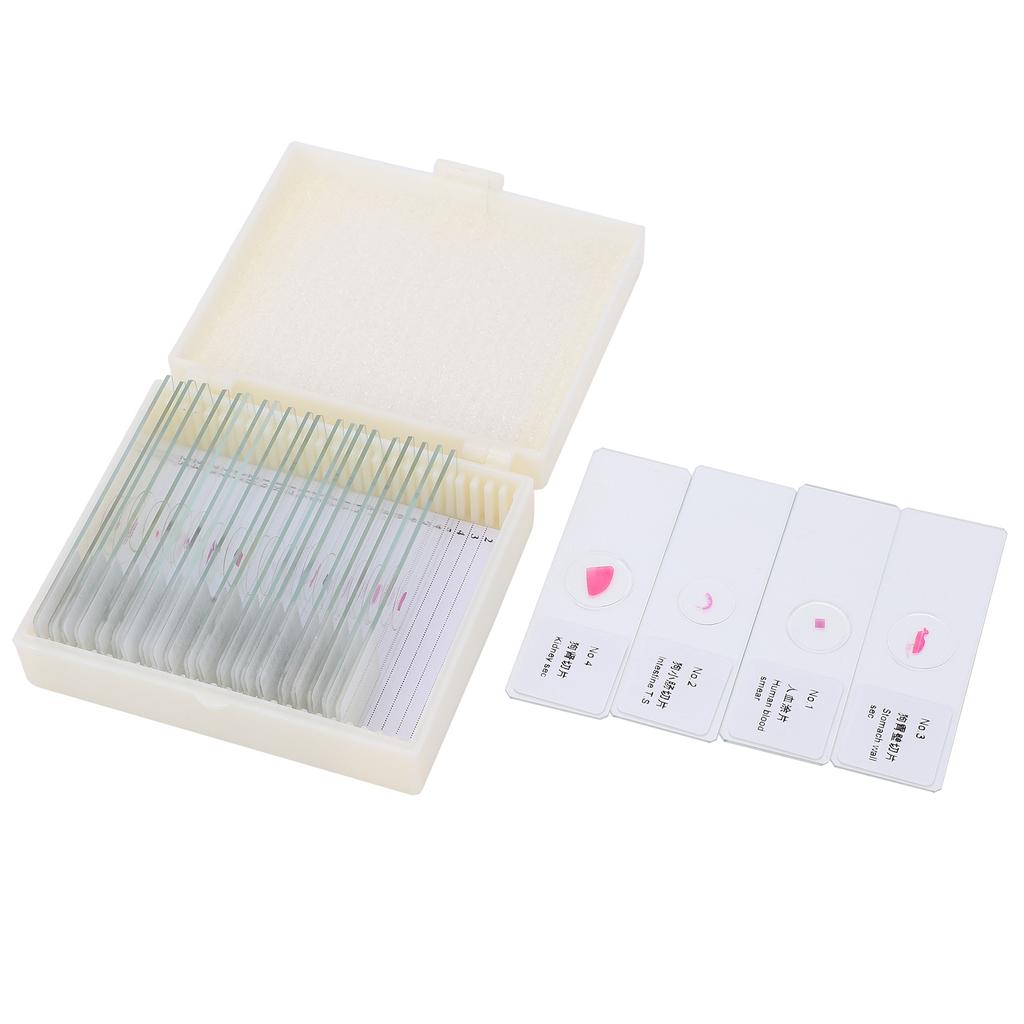 DW‑25 25Pcs Animal Slides Microscope Sample Slides Specimens for Science Education