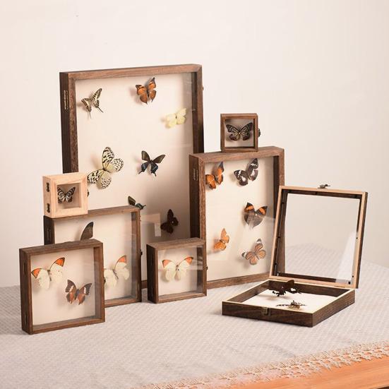 Dobře viditelná vitrína Velký stínový box na hmyz Dřevěná konstrukce Více velikostí Hladký okraj Vzorky hmyzu Úložná vitrína