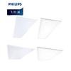 Philips RC091V LED Panel Light for Keel Ceilings, 600x600mm