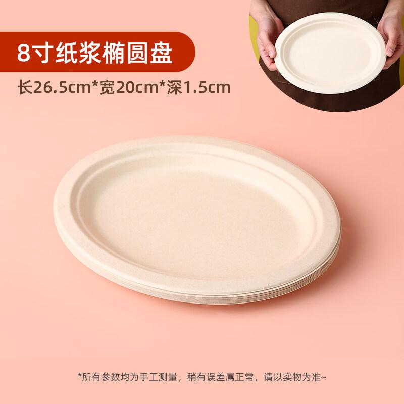 ZISIZ Disposable Paper Plates