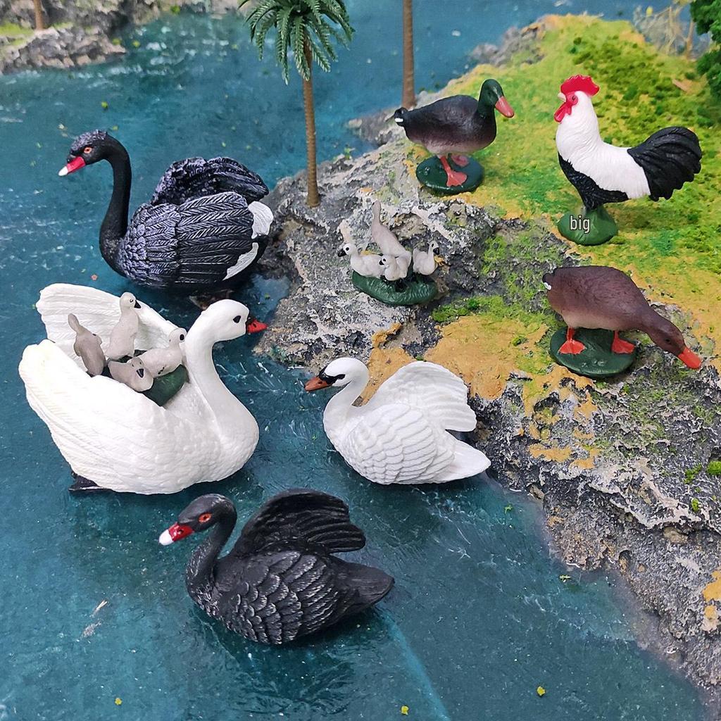 Cross-Border Poultry Model: Children's Cognition Mallard, Swan, Rooster Figurine Set