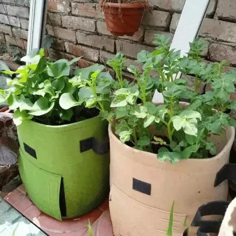 3Styles Felt Plant Grow Bags Nonwoven Fabric Garden Potato Pot Greenhouse Vegetable Growing Bags Moisturizing Vertical Tools
