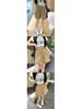 Petite Women's Korean Style Wide-Leg Summer Workwear Shorts