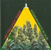 LP Record HYDROPONICS  Let The Light Shine DBHD018LP Dubhead 2000 UK Reggae Ska  Dub Used