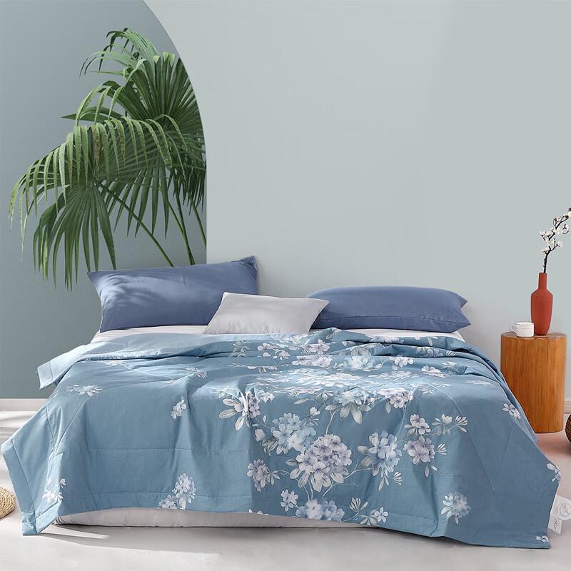 Mercury Home Textiles Huaxiya 100% Cotton Soy Fiber Summer Quilt