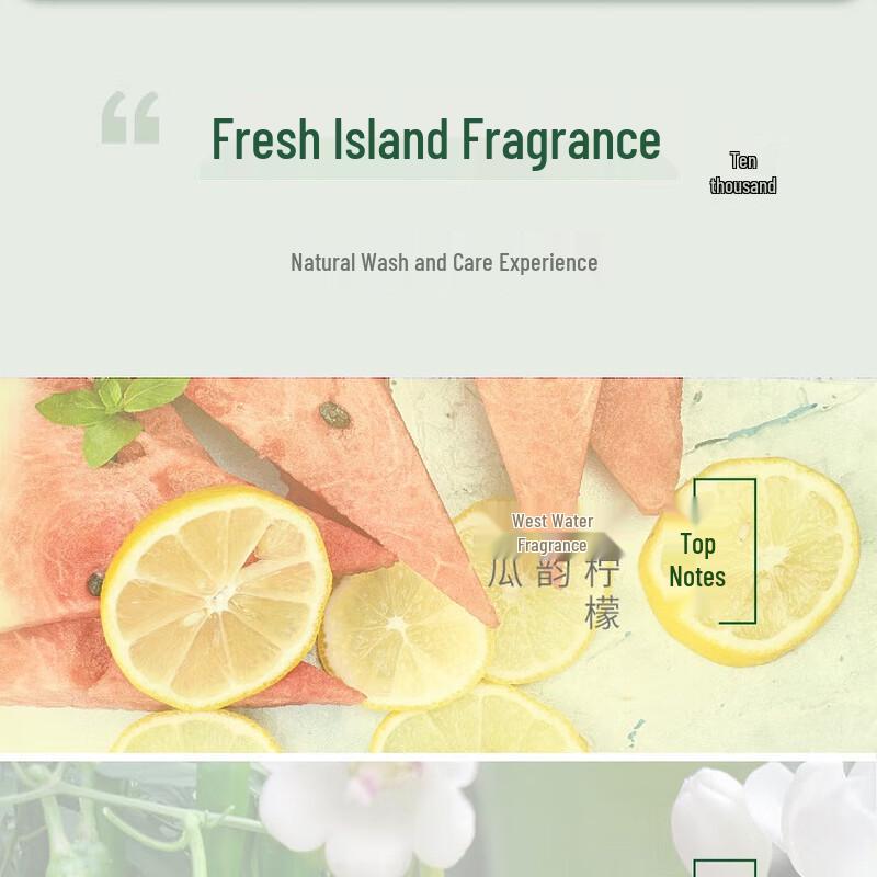 Syoss Hydrating & Smoothing Shampoo with Olive Oil Squalane