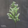 Asparagus Fern & Willow Buds Greenery for Wedding Decor & Landscaping