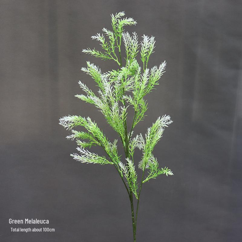 Asparagus Fern & Willow Buds Greenery for Wedding Decor & Landscaping