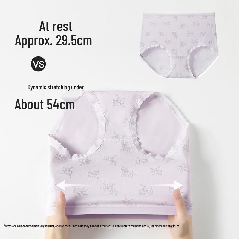 FENTENG Women's 4-Pack Cotton Antibacterial Briefs