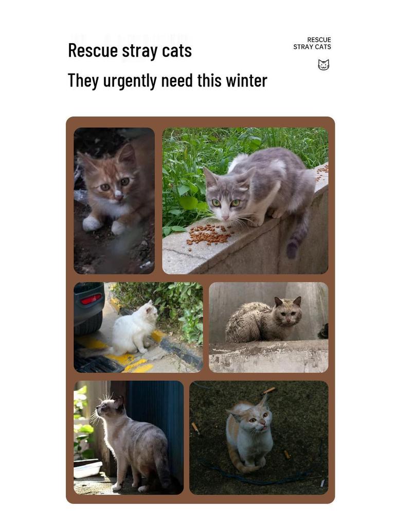 Stray Cat Shelter: Outdoor Waterproof, Rainproof & Warm Enclosed Nest for All Seasons