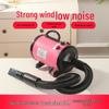 High-Power Low-Noise Pet Hair Dryer for Large Dogs
