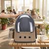 Transparent Pet Carrier with Window | Foldable, Backpack, for Travel