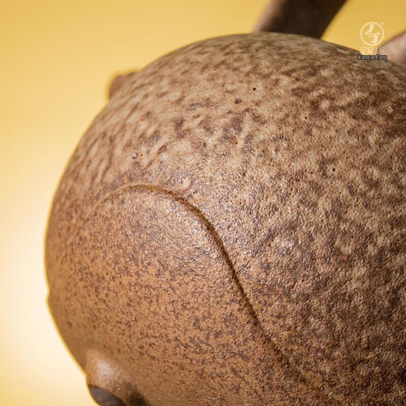 COOKER KING Edenus Tea & Water Kettle with Infuser